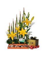 JARDIN ZEN LILIUMS + ¡GRATIS! BOX SORINI (10 UNIDADES)