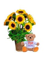 VAN GOGH + ¡GRATIS! OSITO TEDDY FELIZ DÍA PERSONALIZABLE