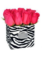 ZEBRA 12 ROSAS