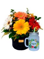 COLECCIÓN GLAM GERBERAS + ¡GRATIS! MUG TROPICAL PERSONALIZABLE