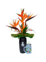 IKEBANA OKINAWA + ¡GRATIS! MUG TROPICAL PERSONALIZABLE