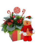 CANDY BOX + ¡GRATIS! MUÑECO GALLETA DE JENGIBRE