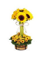 COLECCION CHULUCANAS - TOPIARIO GIRASOLES