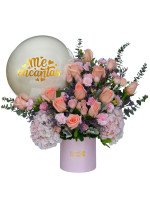 ESPLENDOR ME ENCANTAS