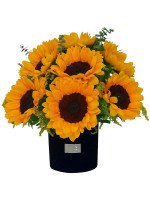 GLAM BLACK 10 GIRASOLES