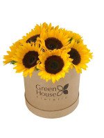 BOX GIRASOLES