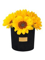 GLAM BLACK 6 GIRASOLES