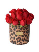LEOPARDO 15 ROSAS