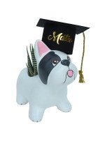 BULLDOG FRANCES GRADUADO CON SUCULENTA (PERSONALIZABLE)