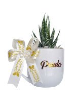 SUCULENTA EN TAZA PERSONALIZABLE