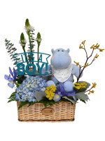 CESTA PELUCHE IT´S A BOY