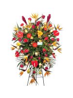OFRENDA TROPICAL