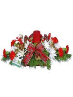 CENTRO NAVIDEÑO ESPECIAL