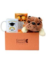 PACK BULLDOG GRADUADO (PERSONALIZABLE)