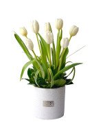 GLAM TULIPANES BLANCOS