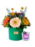 COLECCIÓN AMAZONÍA GERBERAS + ¡GRATIS! VELA AROMÁTICA PERSONALIZABLE