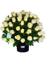 GLAM BLACK 80 ROSAS